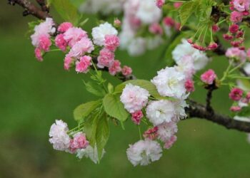 Carte vitale : sa version dématérialisée se généralise – France Inter