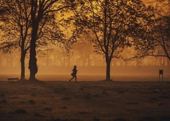 Running. Un marathon va voir le jour à Lille en 2026 – France Live