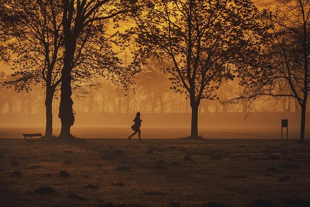 Running. Un marathon va voir le jour à Lille en 2026 – France Live