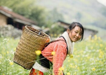 Basket Paris qualifié pour sa première finale de Coupe de France – Ouest-France