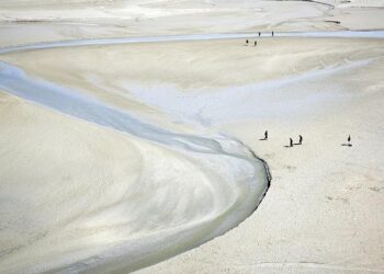 France : les réserves de change ont grimpé à près de 300 MdsE en février – Boursier.com