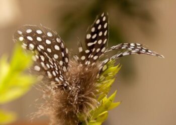 Crise diplomatique : l’Algérie remet en question la mise à disposition de biens immobiliers pour la France – Le Journal du dimanche Crise diplomatique : l’Algérie remet en question la mise à disposition de biens immobiliers pour la France – Le Journal du dimanche