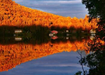 Les mots du Québec – France Inter Les mots du Québec – France Inter