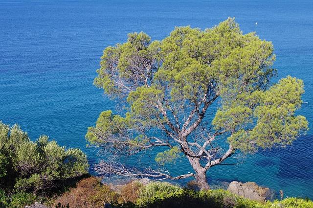 Suite au séisme sur la Côte d’Azur : quelles zones pourraient être frappées par un tsunami en région Paca ? – France 3 Régions