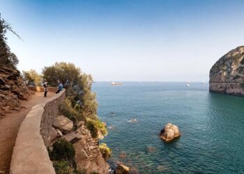 Relations Algérie/France : « Le gouvernement algérien est un gouvernement voyou », fustige Jordan Bardella – RMC