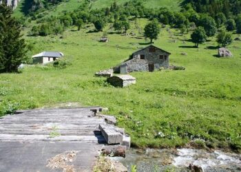 TFC – Laval en Coupe de France : que valent véritablement les « Tango », futurs adversaires des Toulousains en 16es de finale – La Dépêche du Midi