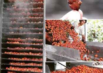 La ministre des Sports Marie Barsacq a dîné à Clairefontaine – L’Équipe