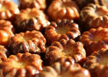 « On m’a vendu du rêve » : ce nouveau quartier de Bordeaux a-t-il été construit trop vite ? – TF1 INFO