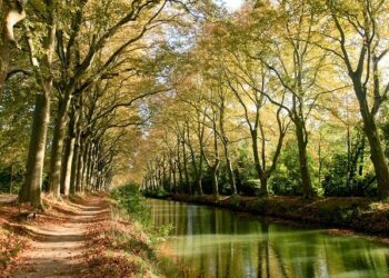 LE TOULOUSE OLYMPIQUE ACCUEILLE UNE DEMI-FINALE DE COUPE DE FRANCE ! – Toulouse Olympique XIII