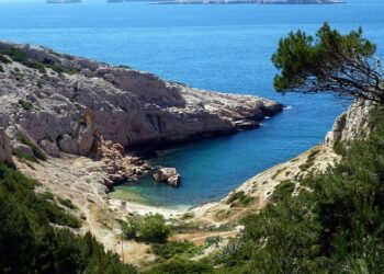 Marseille : un arrêté préfectoral pour la fermeture des épiceries de nuit – franceinfo