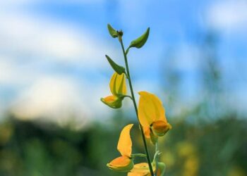 Blocage de Sciences Po à Strasbourg : le président de l’Université dénonce un « mouvement idéologisé » – ici, le média de la vie locale