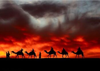 Un feu ravage plusieurs caravanes et véhicules dans le bidonville de la Prairie-de-Mauves, à Nantes – Ouest-France Un feu ravage plusieurs caravanes et véhicules dans le bidonville de la Prairie-de-Mauves, à Nantes – Ouest-France