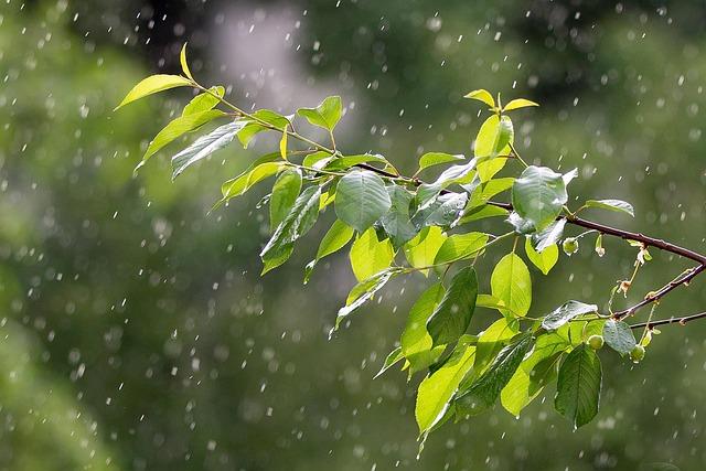 précipitations et tendances nuageuses : ce que Météo France prévoit