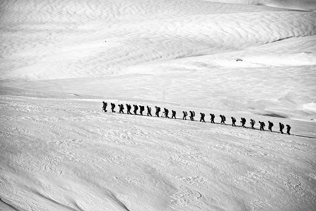 Les défis économiques du secteur alpin et leurs implications pour lavenir