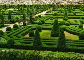 La recherche française solidaire face au « sabotage » de la science aux Etats-Unis – Sciences et Avenir