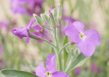 Soumission chimique : le paysagiste avoue une quinzaine de viols, dont des jeunes filles mineures, après les avoir droguées – France 3 Régions