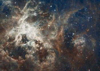 Emission spéciale en direct de Séries Mania à Lille – France Inter