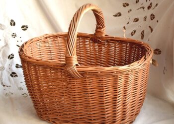 Basket. Élite : Paris renoue avec la victoire en dominant Strasbourg – France Live