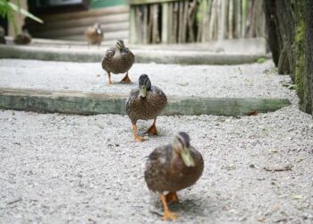 Marche anti-racisme: 6.000 manifestants à Lyon, des tensions mais aucune interpellation – BFMTV