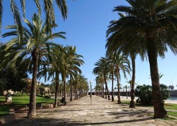 « On voit une régression des plateformes pour ne plus modérer. » Plusieurs centaines de manifestants à Bordeaux pour rappeler que la lutte contre le racisme doit continuer – France 3 Régions « On voit une régression des plateformes pour ne plus modérer. » Plusieurs centaines de manifestants à Bordeaux pour rappeler que la lutte contre le racisme doit continuer – France 3 Régions