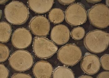 Le boulonnais Jimmy Gressier améliore son record d’Europe sur 5 kilomètres dans les rues de Lille ! – ici, le média de la vie locale