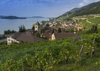 Bielle-Biarrey, Lucu et Penaud de retour avec l’UBB contre Toulouse en Top 14 – L’Équipe