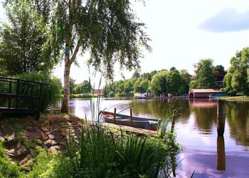 Top 14 – Le Stade Toulousain sans ses internationaux à Bordeaux, l’UBB avec quasiment toutes ses forces – ici, le média de la vie locale