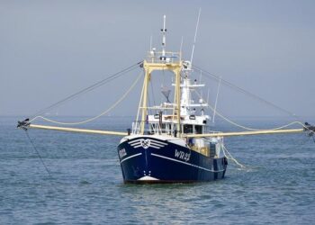 Ce que l’on sait de l’attaque au cutter d’un avocat pénaliste dans son cabinet – France 3 Régions