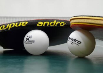 Tennis de table : Félix Lebrun sacré champion de France face à son frère Alexis – FRANCE 24