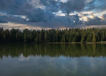 Félix Lebrun sacré champion de France pour la première fois après sa victoire face à son frère Alexis en finale – L’Équipe Félix Lebrun sacré champion de France pour la première fois après sa victoire face à son frère Alexis en finale – L’Équipe