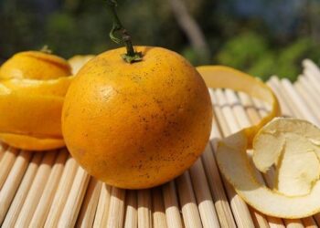 Dua Lipa réserve ses premières dates en France à Lyon – Tribune de Lyon