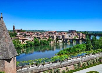 Résumé officiel : Albi vs Carcassonne – une demi-finale de Coupe de France au bout du suspense – Fédération Française de Rugby à XIII