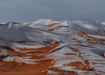 13 personnes blessées dont dix policiers après un refus d’obtempérer à Paris – France 3 Régions