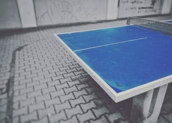 Tennis de table. Alexis Lebrun rejoint son frère Félix en finale des championnats de France – Ouest-France