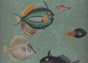 « Les poissons ne sont pas des objets de décoration ! » : la drôle de fronde contre les aquariums du métro de Lille est relancée – France 3 Régions « Les poissons ne sont pas des objets de décoration ! » : la drôle de fronde contre les aquariums du métro de Lille est relancée – France 3 Régions