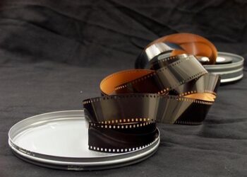 Survivre – Film 2024 – AlloCiné