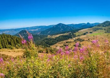 Auvergne-Rhône-Alpes. Dstny France fait le pari des territoires et des PME avec Dstny Entreprises – Le Dauphiné Libéré Auvergne-Rhône-Alpes. Dstny France fait le pari des territoires et des PME avec Dstny Entreprises – Le Dauphiné Libéré