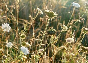 Un rassemblement « contre l’islamisme » en présence de ministres à Paris – FRANCE 24