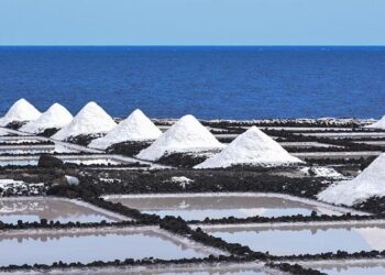 Semaine de la presse : à Strasbourg, des élèves apprennent à repérer les fake news – franceinfo