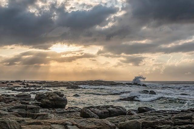 Lacidification des océans : un enjeu crucial pour la biodiversité marine