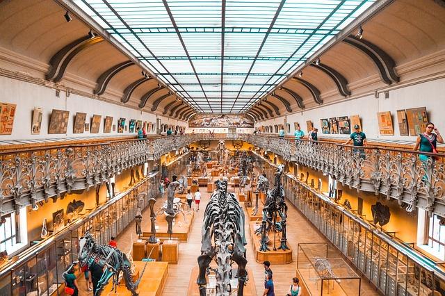 Plus⁢ de​ 100 ‍dinosaures rassemblés le ⁢temps d'un week-end⁤ - ici,‌ le ‌média de la vie locale