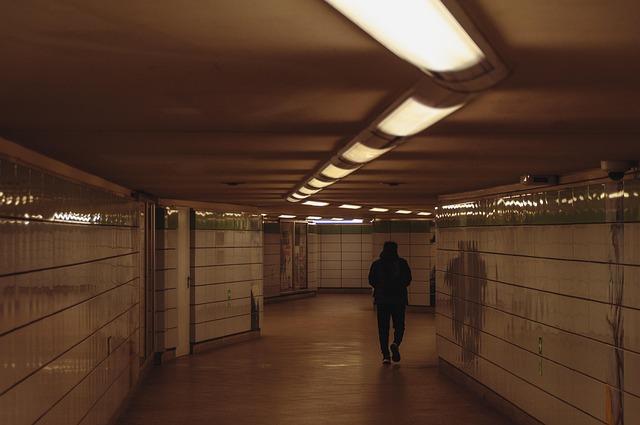 Guide pratique pour les passagers : avant, pendant et après le vol