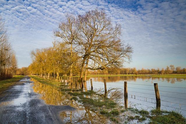 Analyze des Zones les Plus touchées par les Inondations et les chutes dArbres