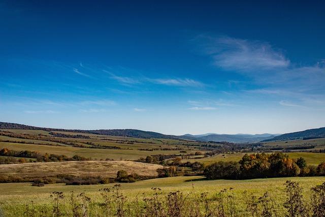 Activités de plein air recommandées selon ⁤la ⁣météo locale