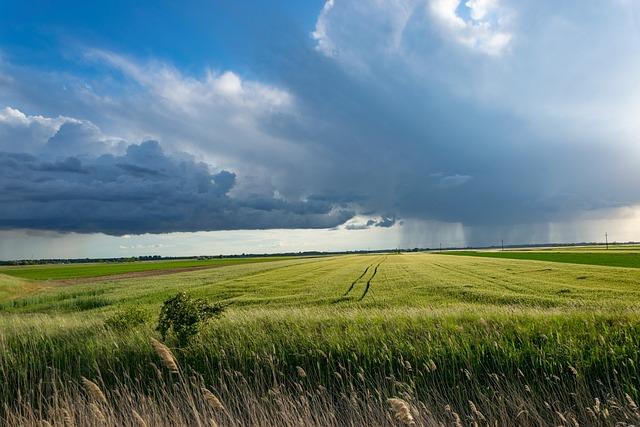Impacts sur‌ lagriculture et lenvironnement⁢ : une ‍analyse essentielle