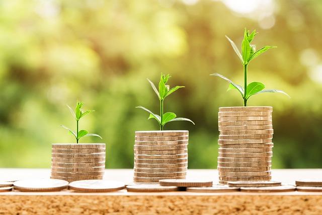 Les retombées économiques anticipées : analyze des promesses du projet