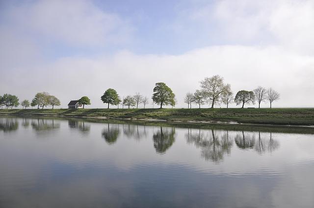 Perspectives d’Avenir pour le Patrimoine Arboré de Lille