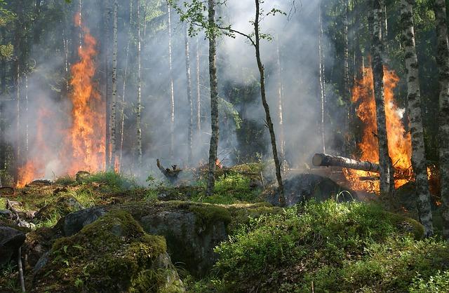 Analyse des causes possibles de l’incendie dans la communauté