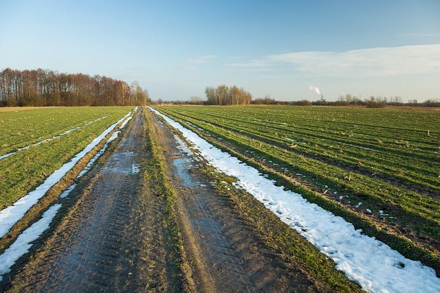 Conséquences ⁤matérielles⁢ et humaines : ‌Impact sur la communauté