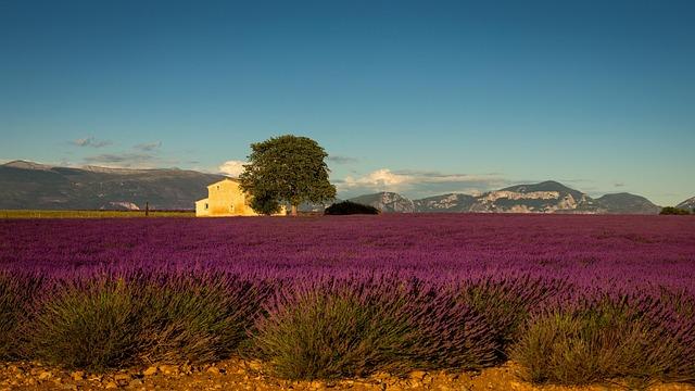 LHistoire et le Patrimoine des Perles de Provence